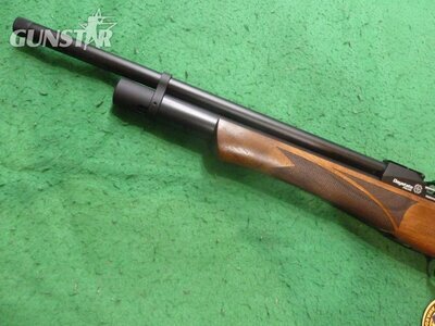Daystate Huntsman Revere .22