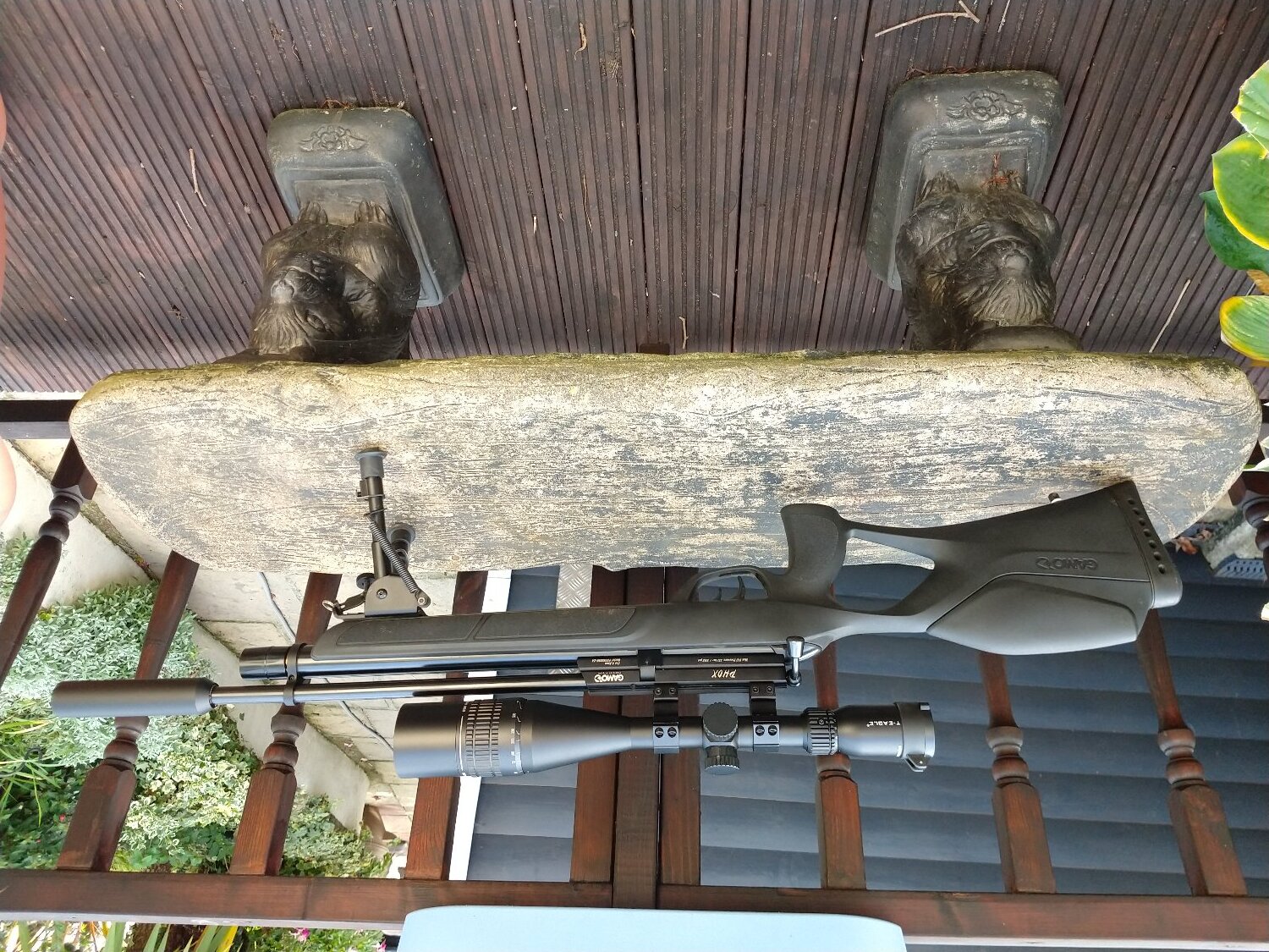 Gamo Gamo phox  .22