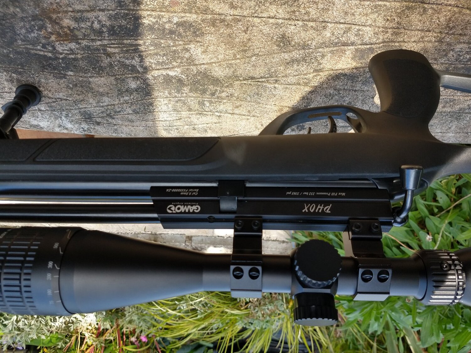  Gamo Gamo phox  .22