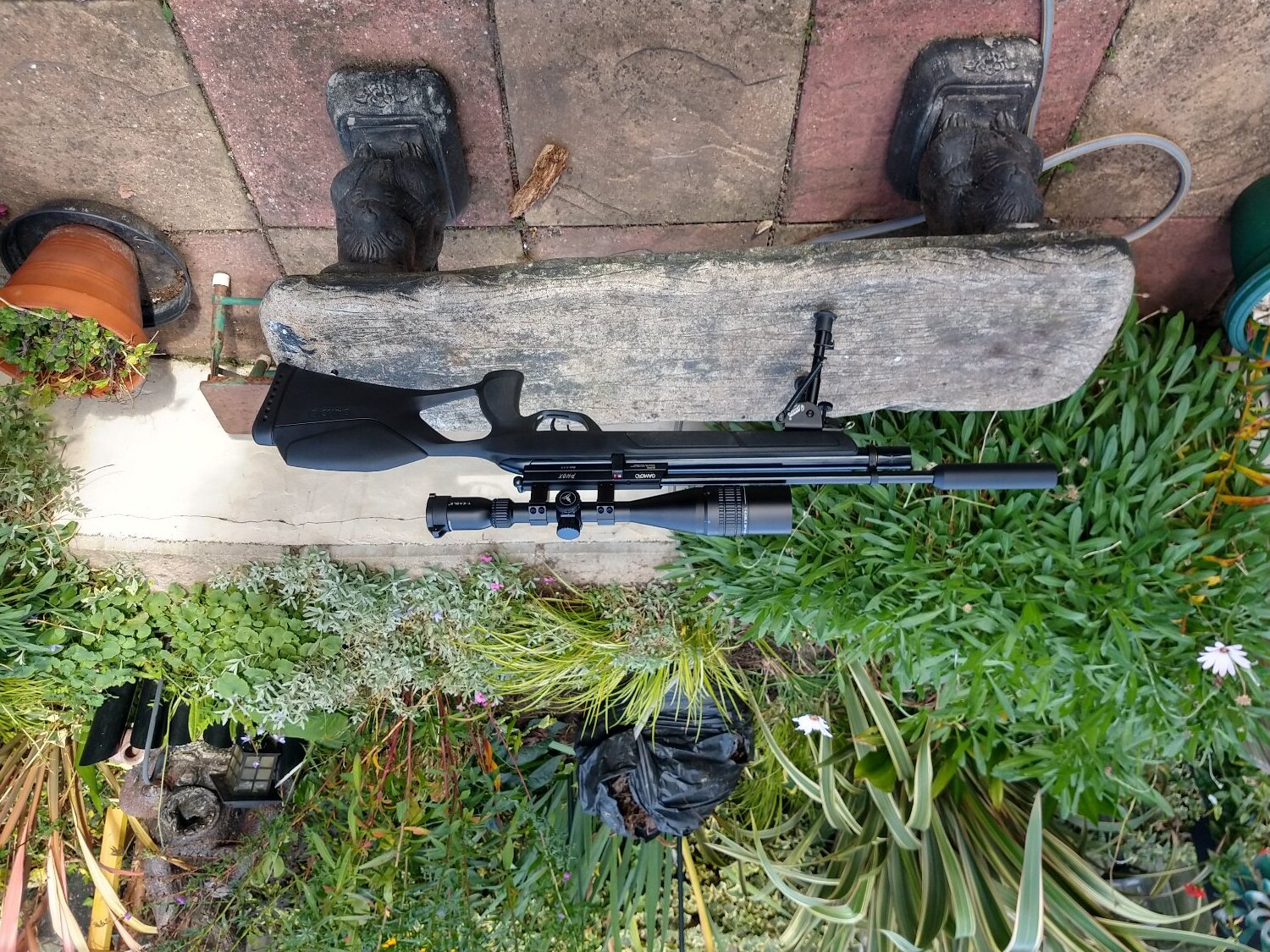 Gamo Gamo phox  .22 
