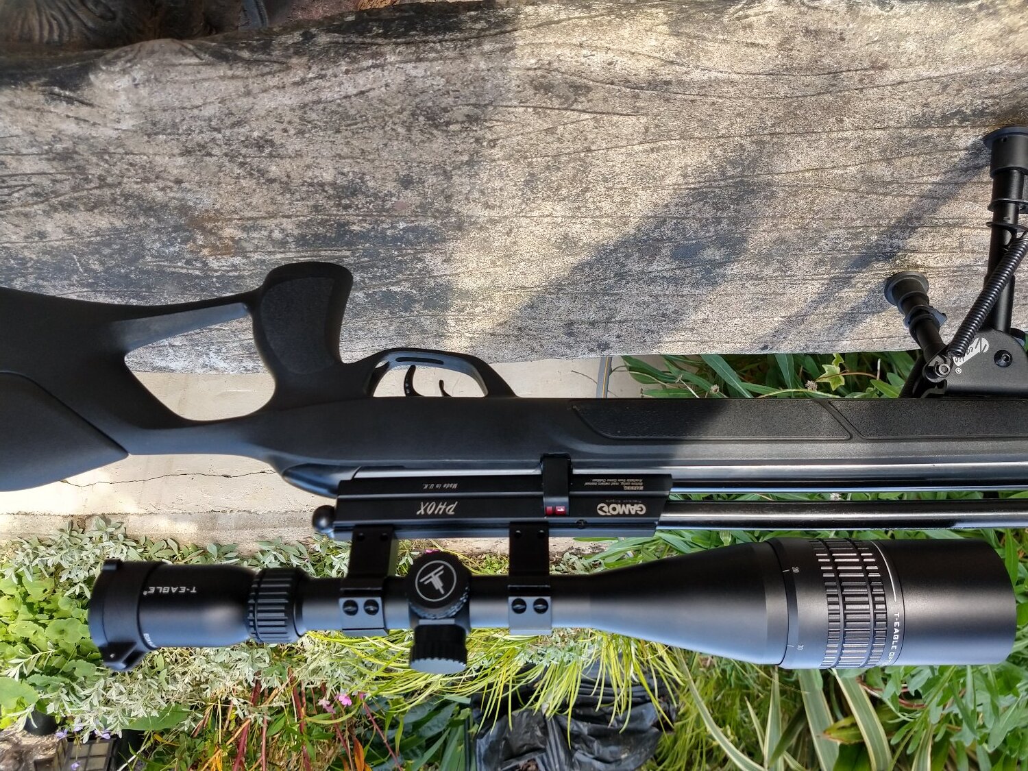 {CATEGORY} - Gamo Gamo phox  .22 in 