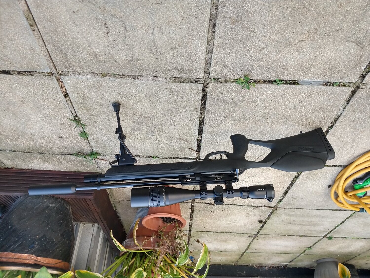 Gamo Gamo phox  .22 - {CATEGORY} in 