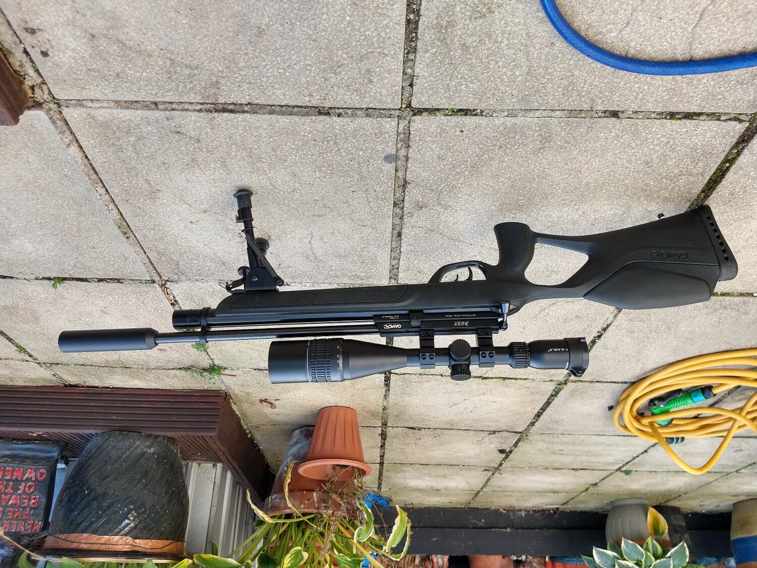 {CATEGORY} - Gamo Gamo phox  .22