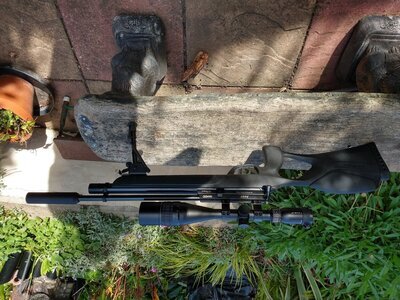 Gamo Gamo phox  .22