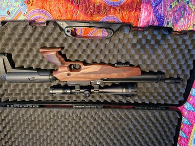 Reximex Walnut  .22