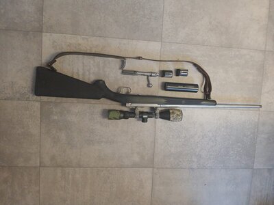 Ruger All weather  Bolt Action .22 Long Rifle (.22 LR) Rifle