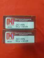Hornady .243 WIN 58gr V-MAX SPF Varmint .243 Rounds