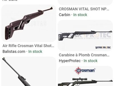 Crosman Vital Shot .22