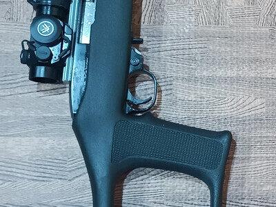 Ruger 10/22 Semi-Auto .22 Long Rifle (.22 LR) Rifle