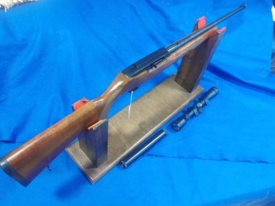 Ruger 10/22 Semi-Auto .22 LR Rifle