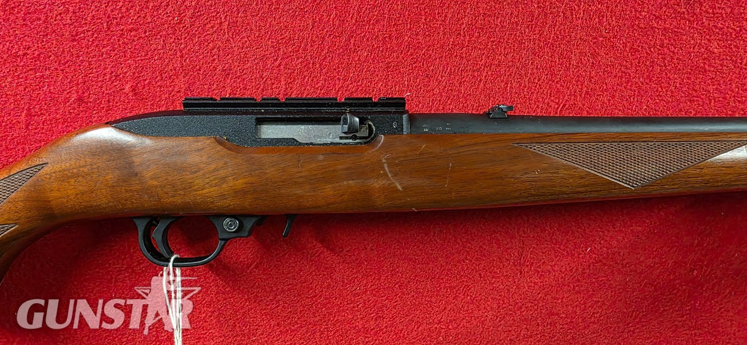 Ruger 10/22 Semi-Auto .22 Rifle
