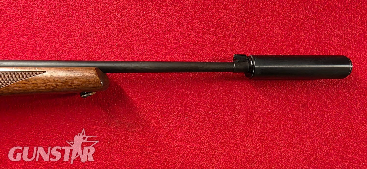  Ruger 10/22 Semi-Auto .22 Rifle