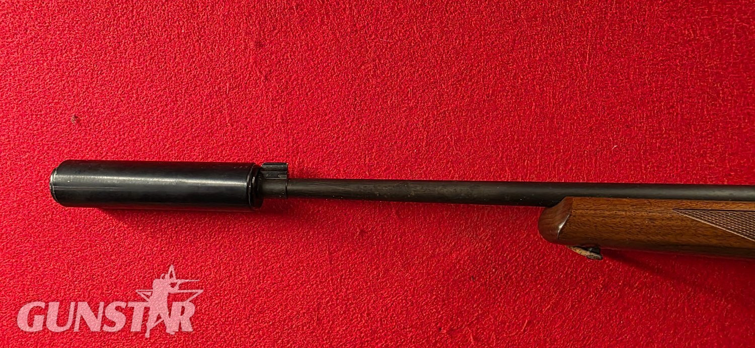 Ruger 10/22 Semi-Auto .22 Rifle - {CATEGORY} in 