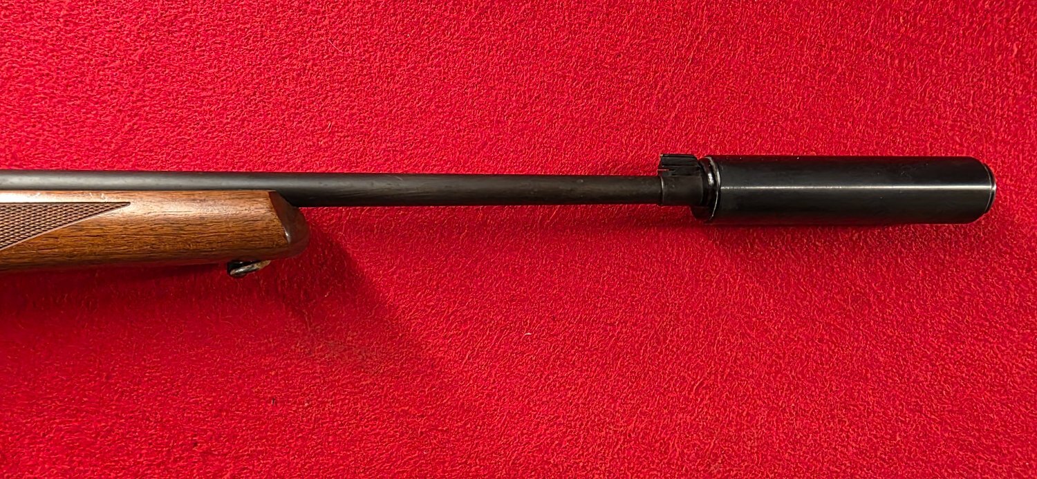  Ruger 10/22 Semi-Auto .22 Rifle
