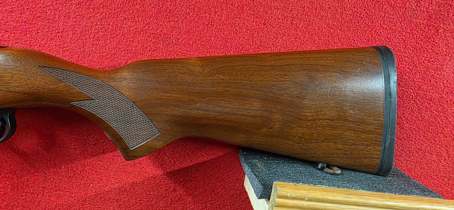 Ruger 10/22 Semi-Auto .22 Rifle 