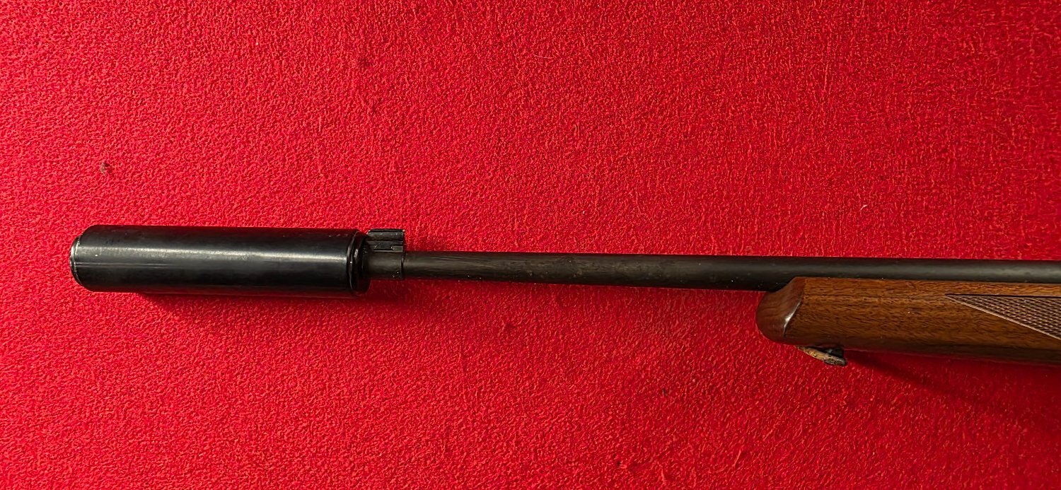 Ruger 10/22 Semi-Auto .22 Rifle - {CATEGORY} in 