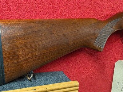 Ruger 10/22 Semi-Auto .22 Rifle