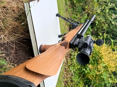 Air Arms S510 Carbine .177