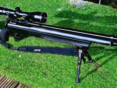 Benjamin Marauder Gen2 .22 .22