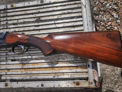 BSA by SKD of Japan 600 Over and Under 12 Bore/gauge