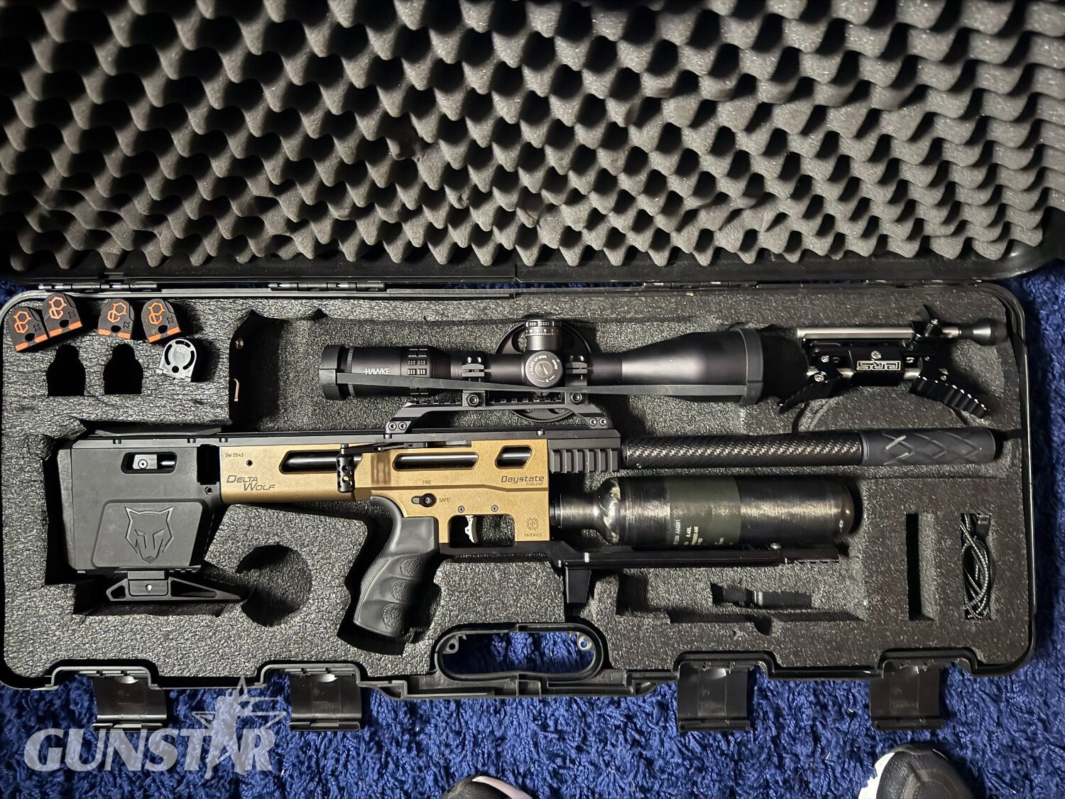 Daystate Delta Wolf .22 in 
