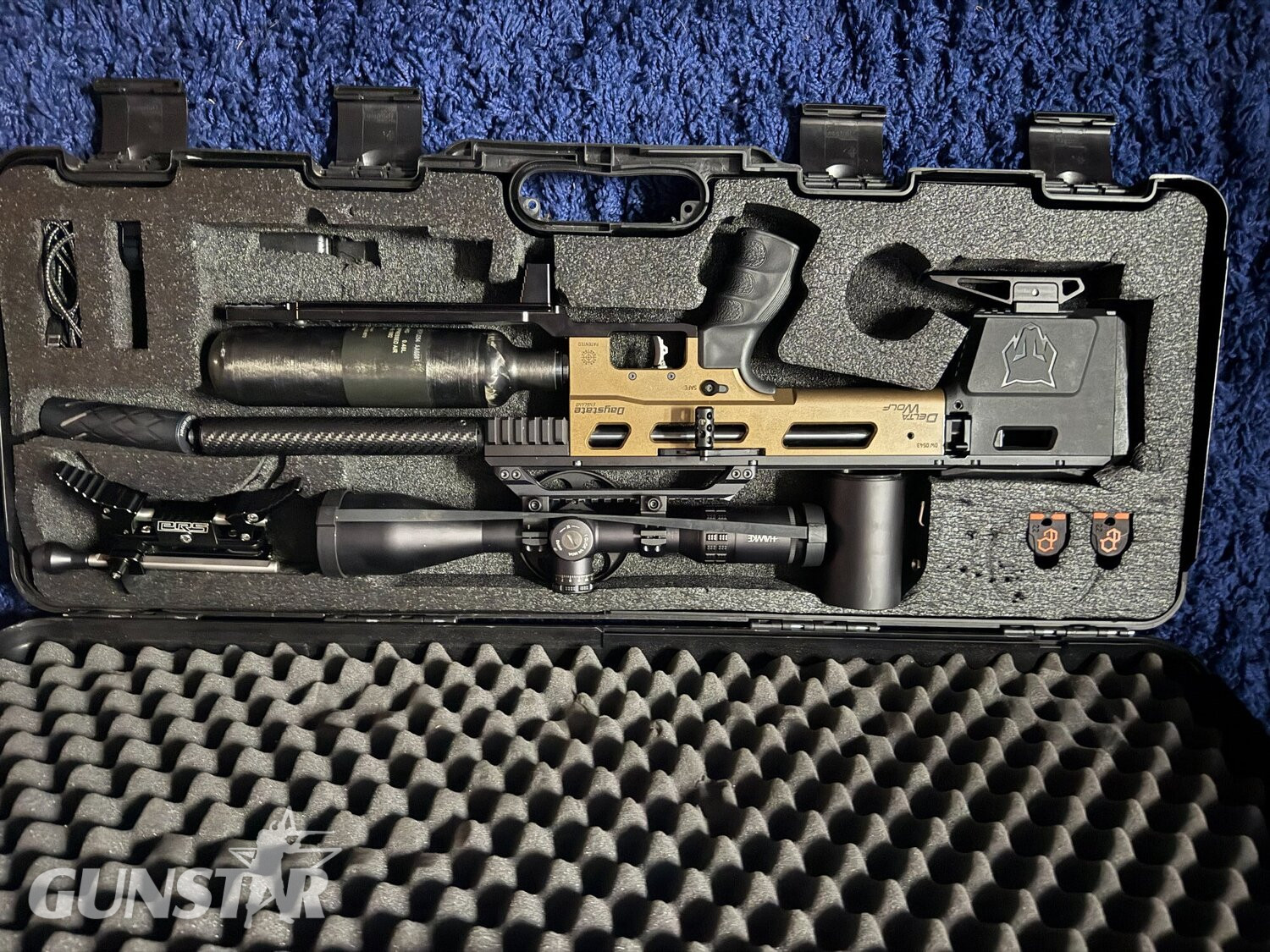 Daystate Delta Wolf .22