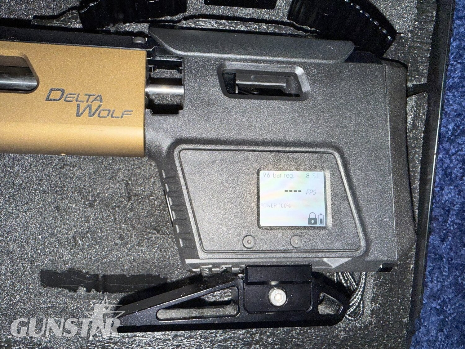  Daystate Delta Wolf .22