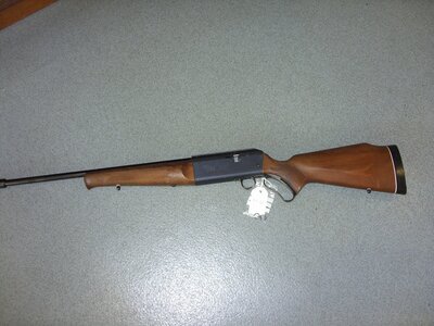 Parker-Hale Pheoonix .22