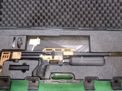 FX Airguns Impact M4 .22