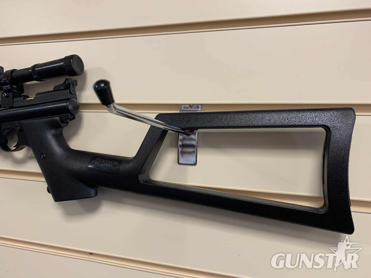 Crosman 2250 Ratcatcher .22 - {CATEGORY} in 