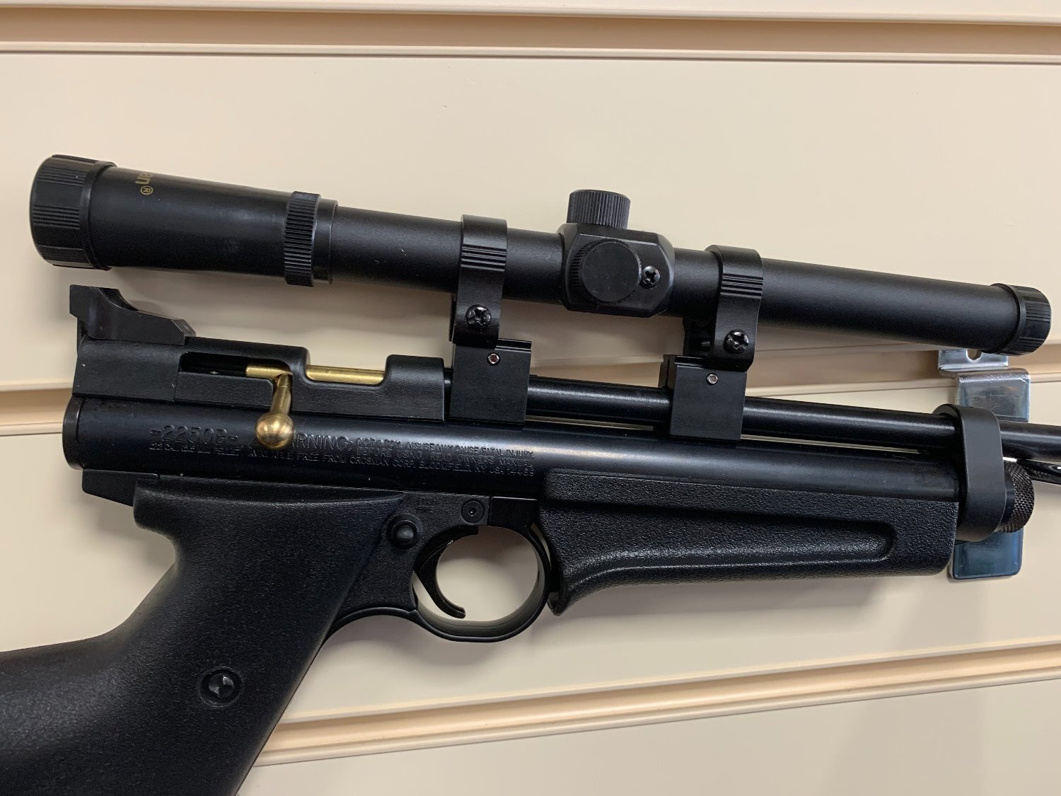 Crosman 2250 Ratcatcher .22 