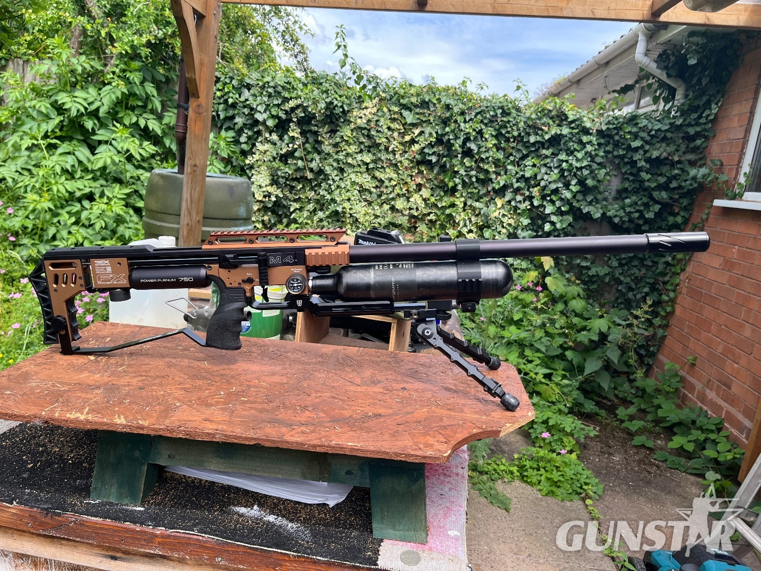 FX Airguns Impact .22