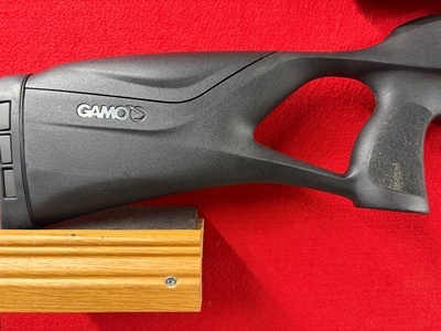 Gamo Roadster .22