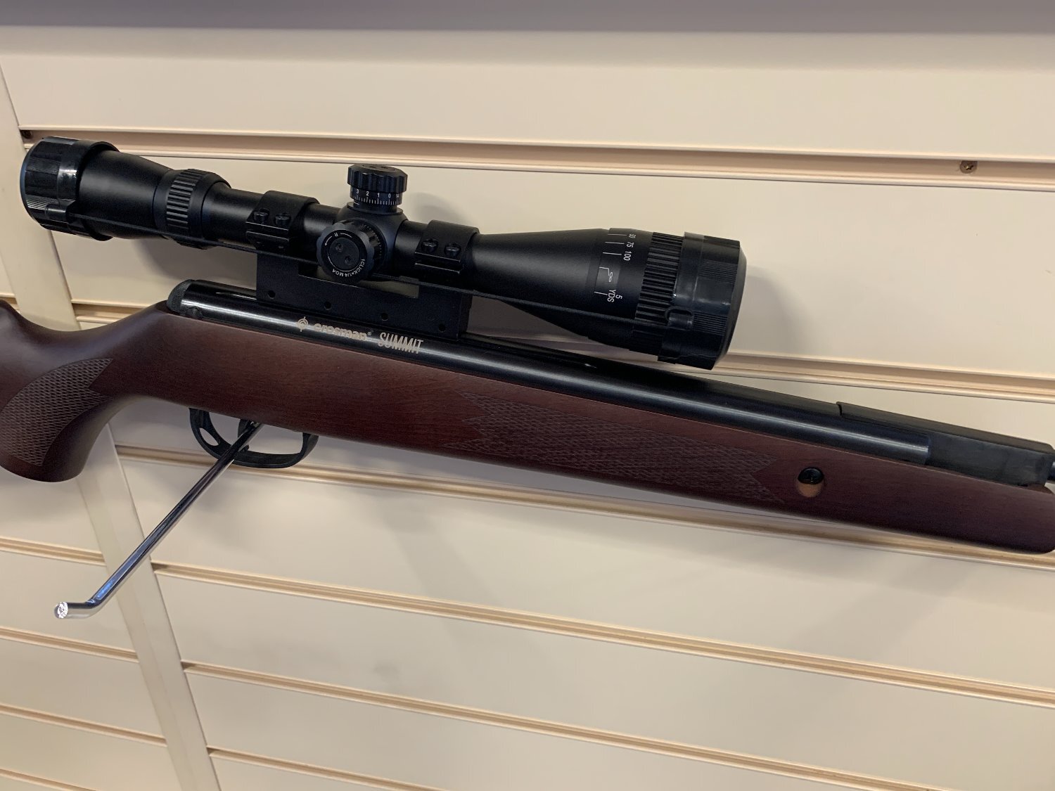 Crosman summit .22 