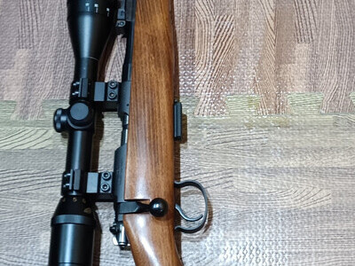 CZ 452 Bolt Action .22 Long Rifle (.22 LR) Rifle