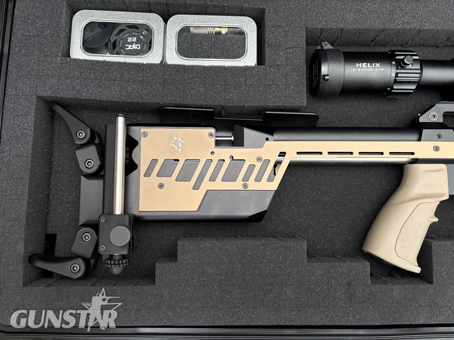 RTI Arms (Rifle Technology Innovations) P3 performance  .22