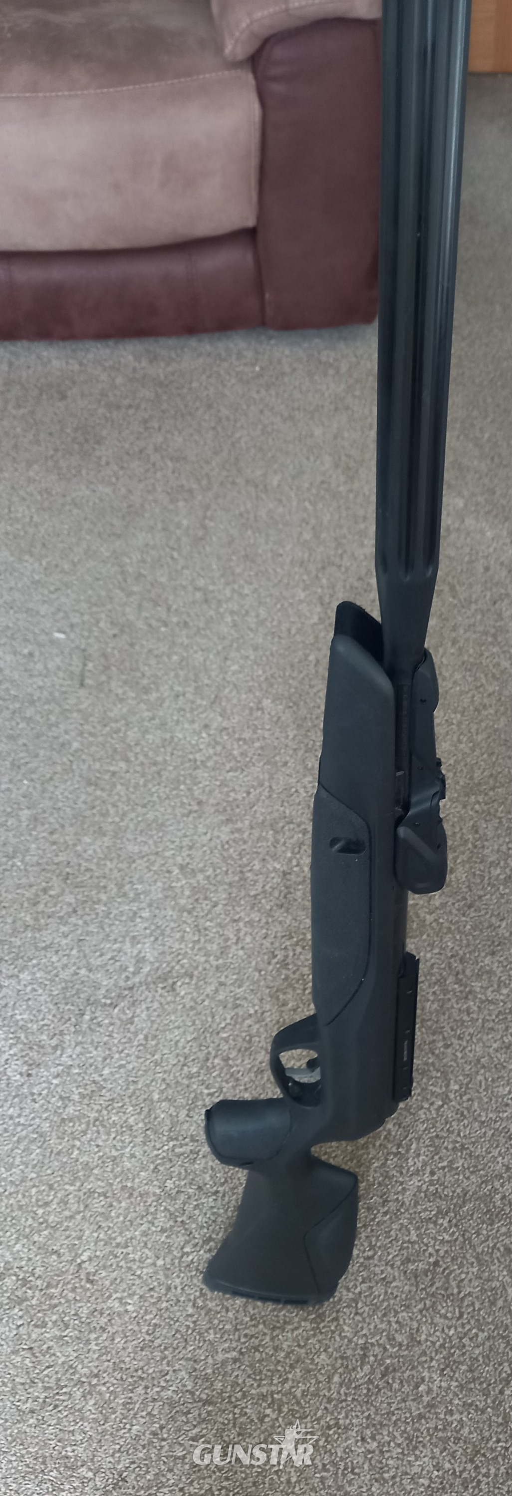 Gamo Speedster .22