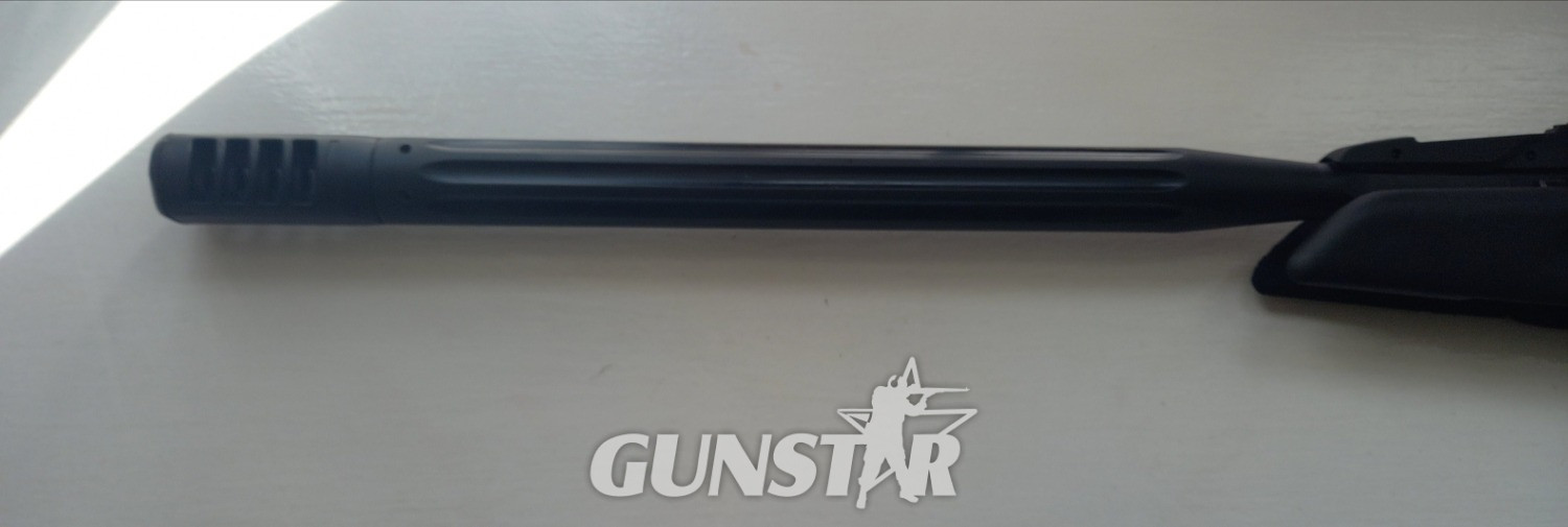 Gamo Speedster .22 - {CATEGORY} in 