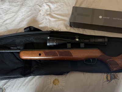 BSA Supersport .22