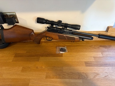 BSA Ultra .22