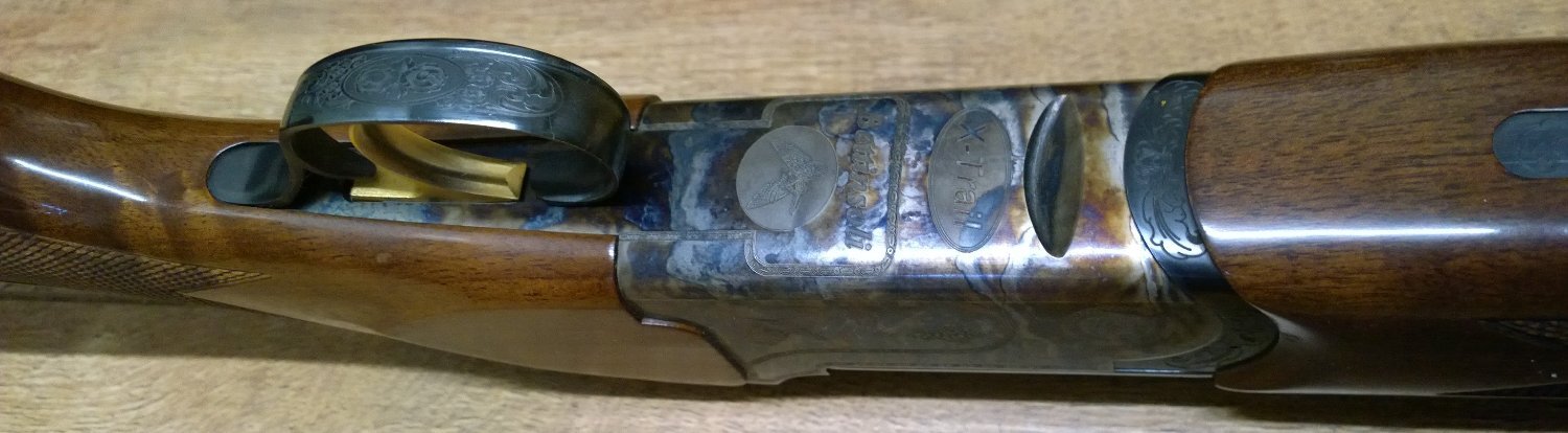 Bettinsoli x trail Over and Under 12 Bore/gauge 