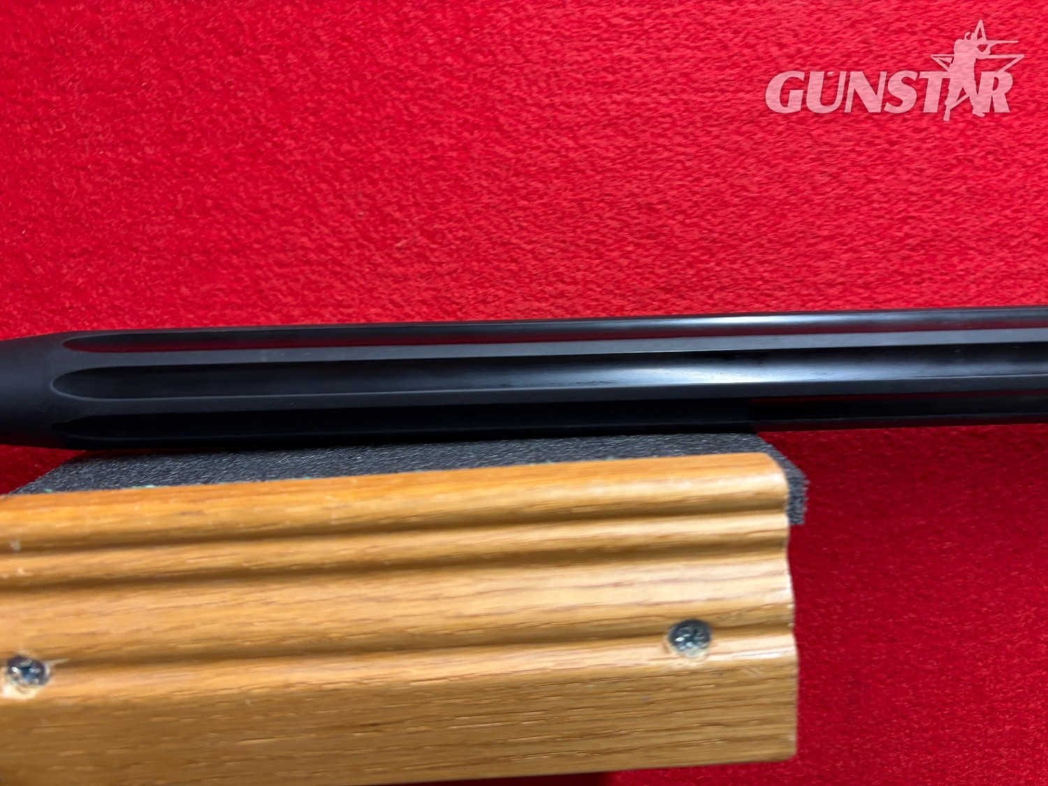 Gamo Varmint Swarm .177 