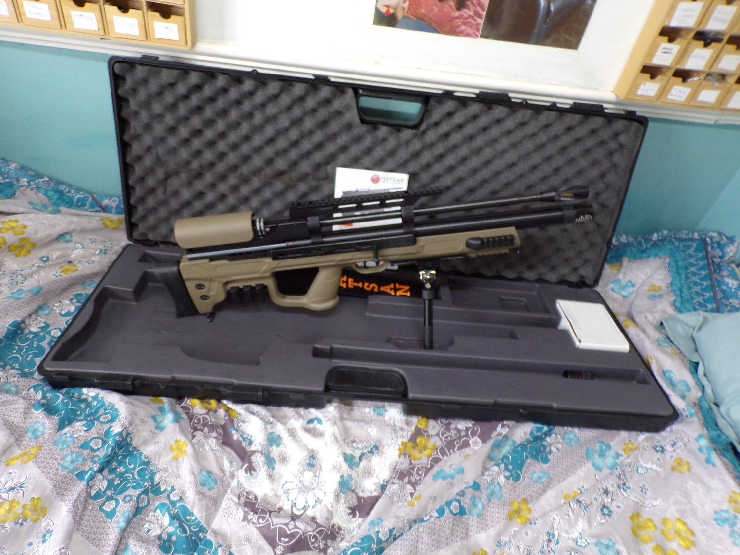 Hatsan Arms Gladius .25 