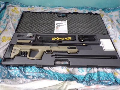 Hatsan Arms Gladius .25