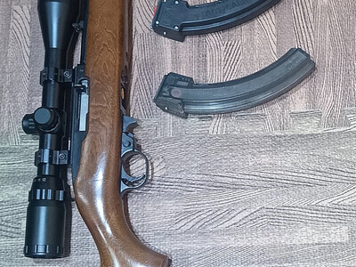 Ruger 10/22 Semi-Auto .22 Long Rifle (.22 LR) Rifle