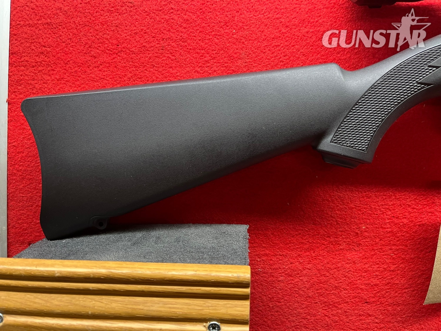 Ruger 10/22 Semi-Auto .22 RF Rifle in 