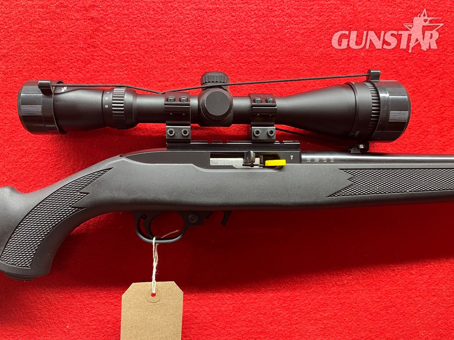 Ruger 10/22 Semi-Auto .22 RF Rifle
