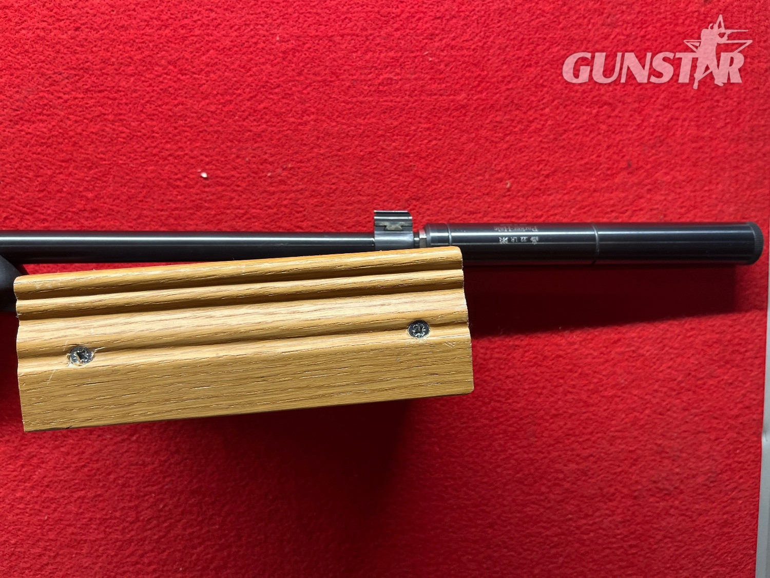 Ruger 10/22 Semi-Auto .22 RF Rifle - {CATEGORY} in 