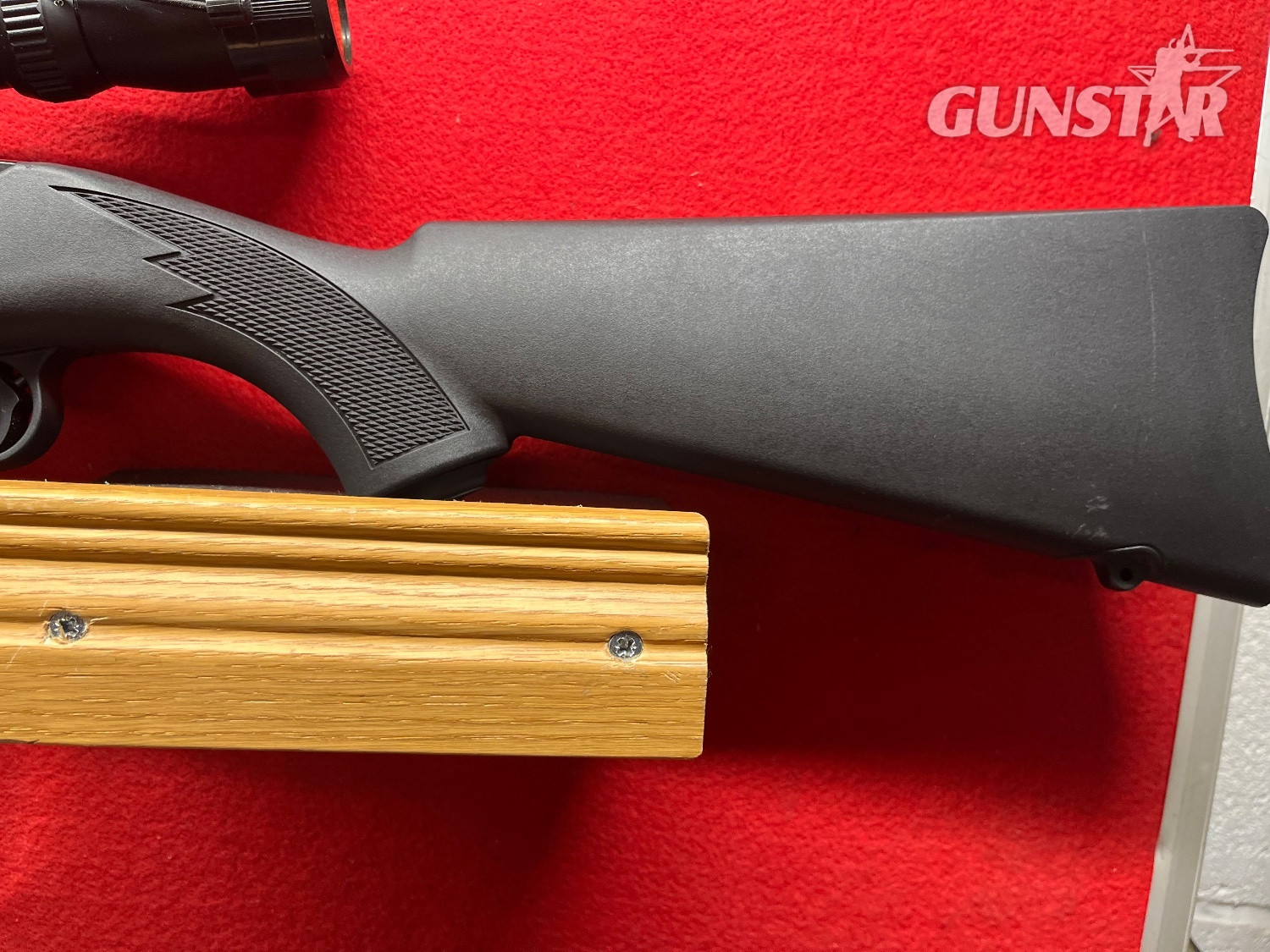 Ruger 10/22 Semi-Auto .22 RF Rifle - {CATEGORY}