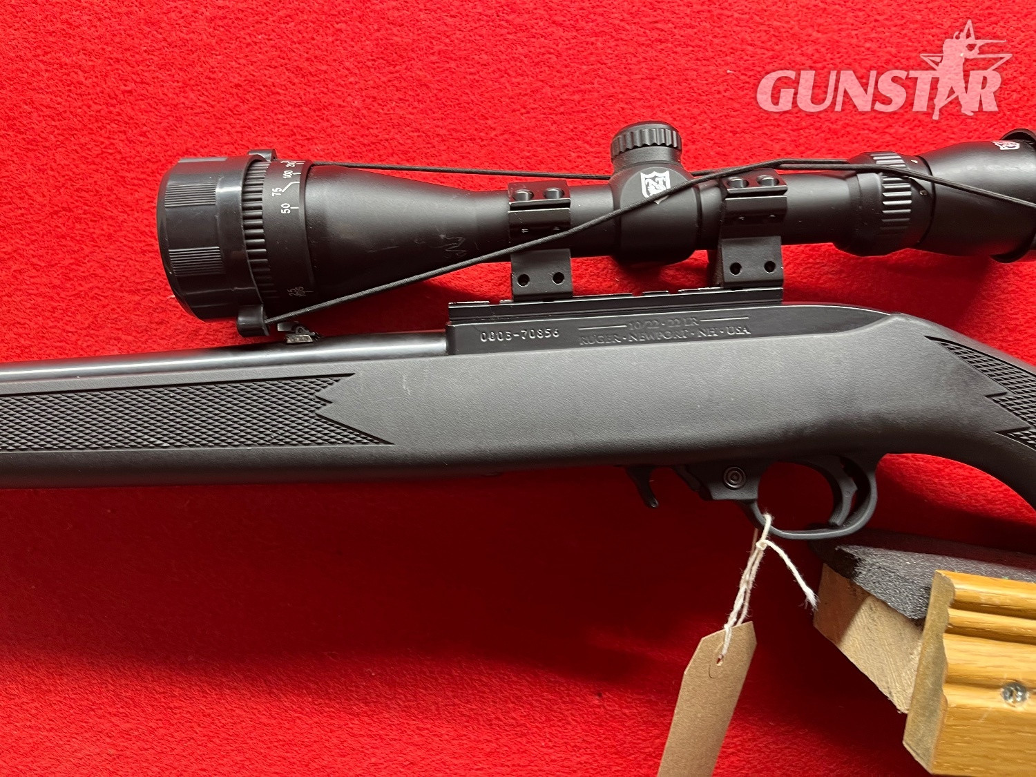 Ruger 10/22 Semi-Auto .22 RF Rifle 